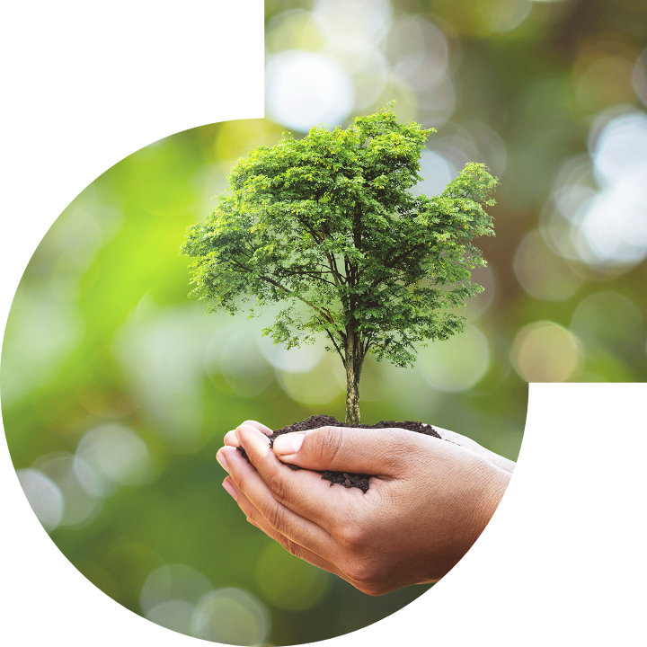 关怀人类、文化、环境与社会